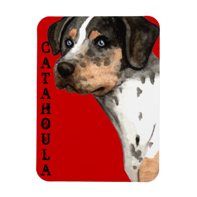 Catahoula Färg Block Magnet (Vertikal)