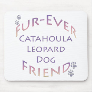 Catahoula Leopard Hund Furever Musmatta