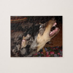 Catahoula Leopard Hund Showing Teeth Pussel