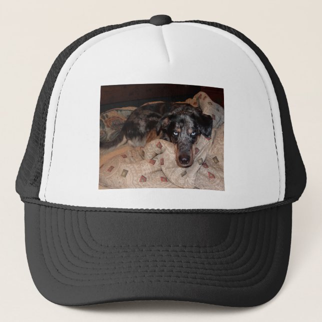 Catahoula Leopard Hund Snoozing Keps (Framsida)