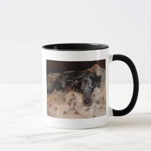 Catahoula Leopard Hund Snoozing Mugg