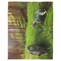 Catahoula och Vild Hog Fleece Blanket