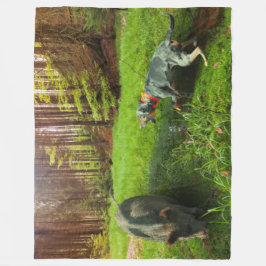 Catahoula och Vild Hog Fleece Blanket