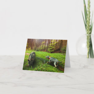 Catahoula och Vild Hog Greeting Card Tack Kort