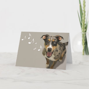 Catahoula Singing Card av Focus för en sak Kort