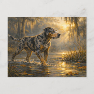 Catahoula Sunrise Jakt Hund Konst vykort