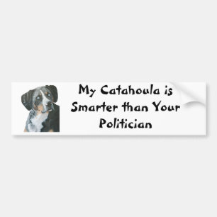 Catahoula vs den politikarBumber klistermärken