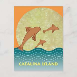 Catalina Fflygande fisk Vykort