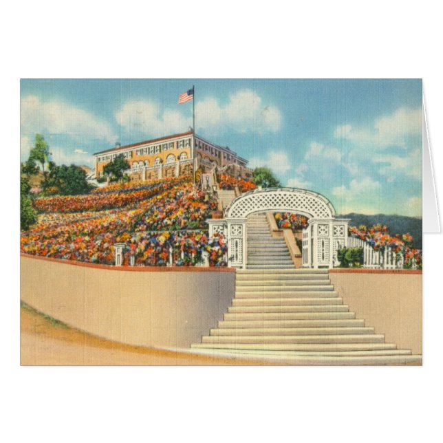 Catalina Hälsningskort (Framsidan Horizontal)