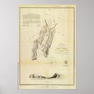Catalina hamn poster