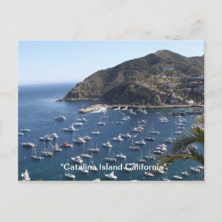 , ’Catalina Island California’ Vykort
