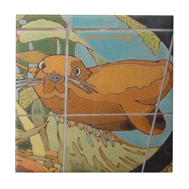 CATALINA ISLAND CERAMIC TILE ANSIKTE I VATTEN KAKELPLATTA (Framsidan)