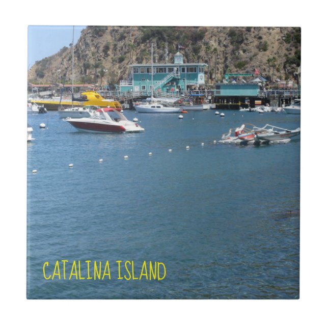 CATALINA ISLAND CERAMIC TILE GRÖNT HOUSE KAKELPLATTA (Framsidan)