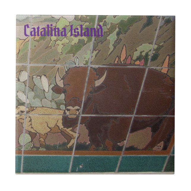 CATALINA ISLAND CERAMIC TILE ISLAND ANSIKTE KAKELPLATTA (Framsidan)