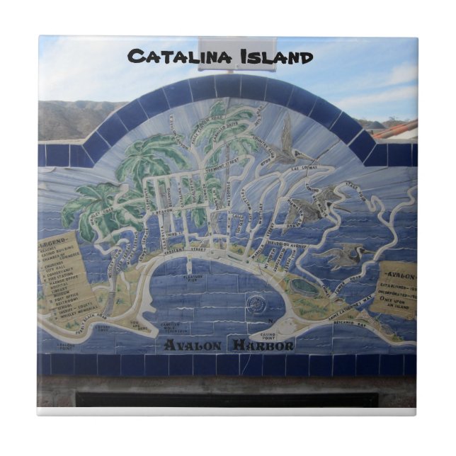 CATALINA ISLAND CERAMIC TILE KAKELPLATTA (Framsidan)