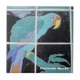 CATALINA ISLAND CERAMIC TILE KAKELPLATTA
