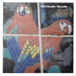 CATALINA ISLAND CERAMIC TILE KAKELPLATTA