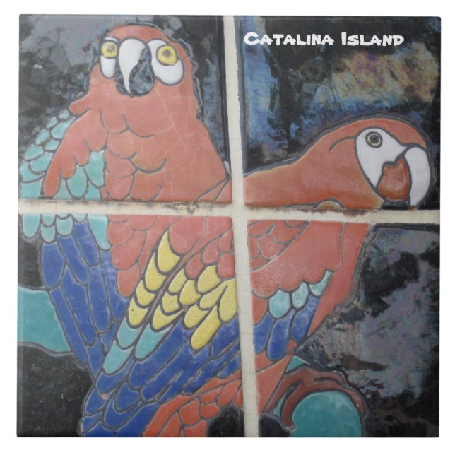 CATALINA ISLAND CERAMIC TILE KAKELPLATTA (Framsidan)