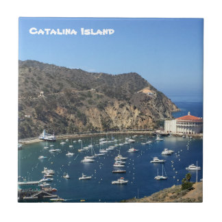 CATALINA ISLAND CERAMIC TILE KAKELPLATTA