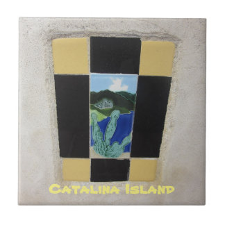 CATALINA ISLAND CERAMIC TILE KAKELPLATTA