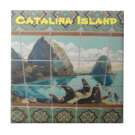 CATALINA ISLAND CERAMIC TILE KAKELPLATTA