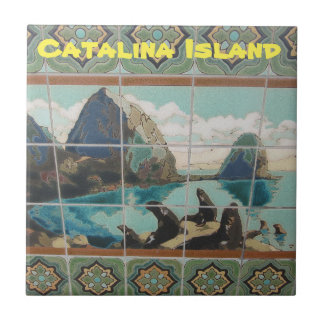 CATALINA ISLAND CERAMIC TILE KAKELPLATTA