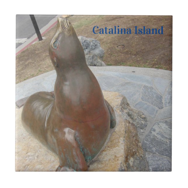 CATALINA ISLAND CERAMIC TILE THE BEN KAKELPLATTA (Framsidan)