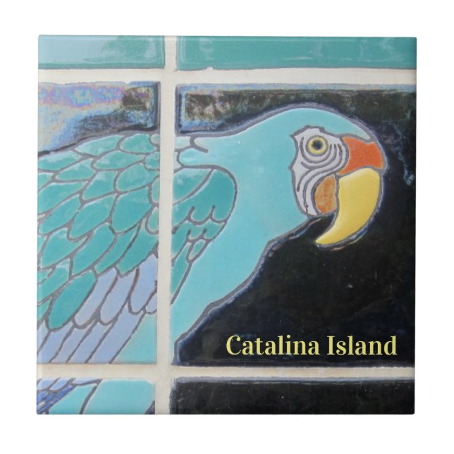 CATALINA ISLAND CERAMIC TILE THE LOOK KAKELPLATTA (Framsidan)