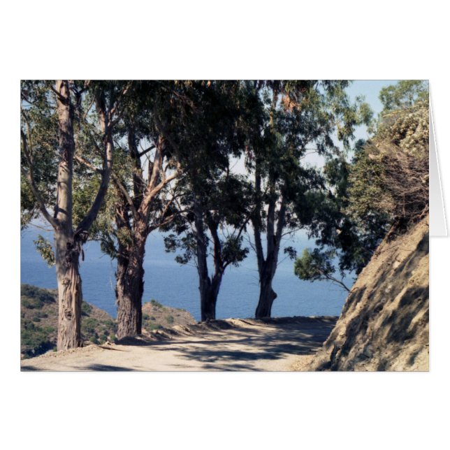 Catalina Island Hälsningskort (Framsidan Horizontal)