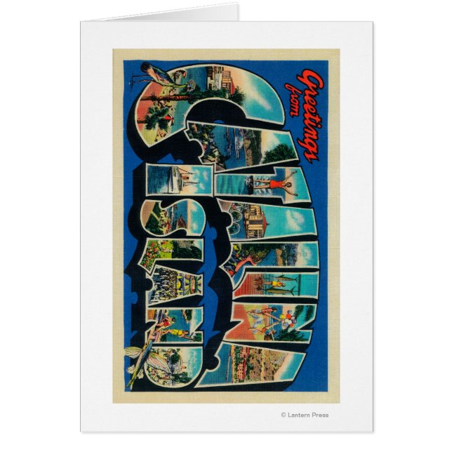 Catalina Island, Kalifornien - Large Brev Hälsningskort (Framsidan)