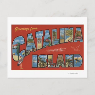Catalina Island, Kalifornien - Large Brev Scene Vykort