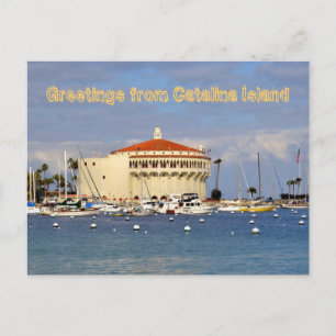 Catalina Island Vykort