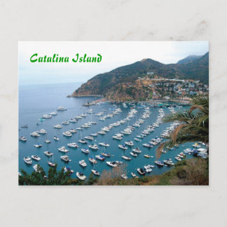 Catalina Island Vykort