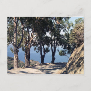 Catalina Island Vykort