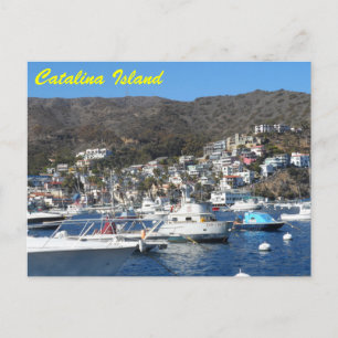 Catalina, Kalifornien Vykort