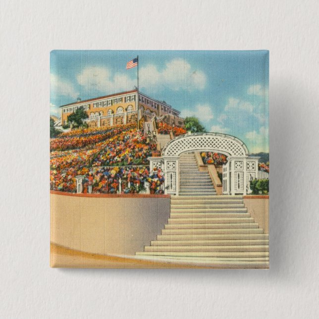 Catalina Knapp (Framsida)