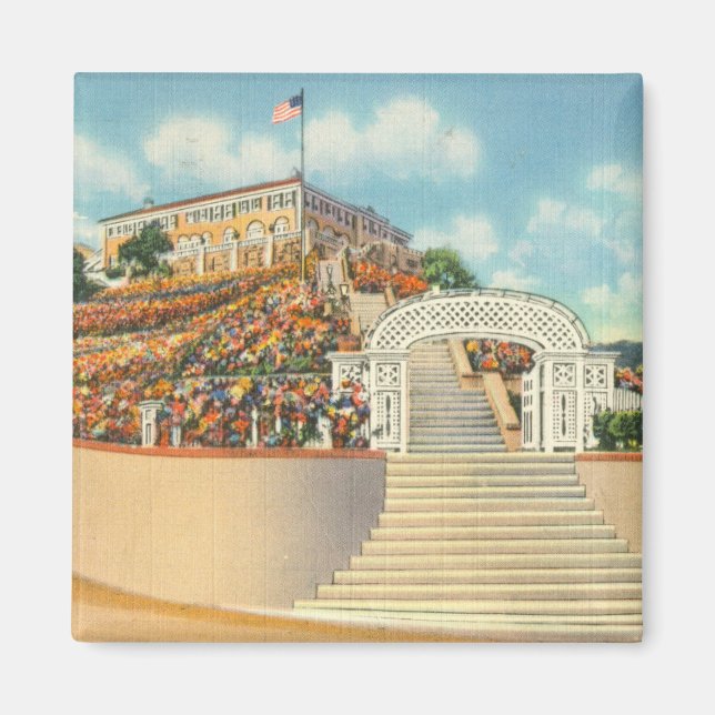 Catalina Magnet (Framsidan)