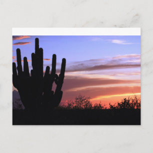 Catalina Mountains Sunset Vykort