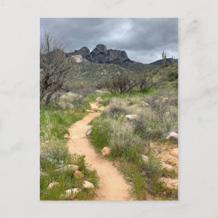 Catalina Mountains Trail Vykort