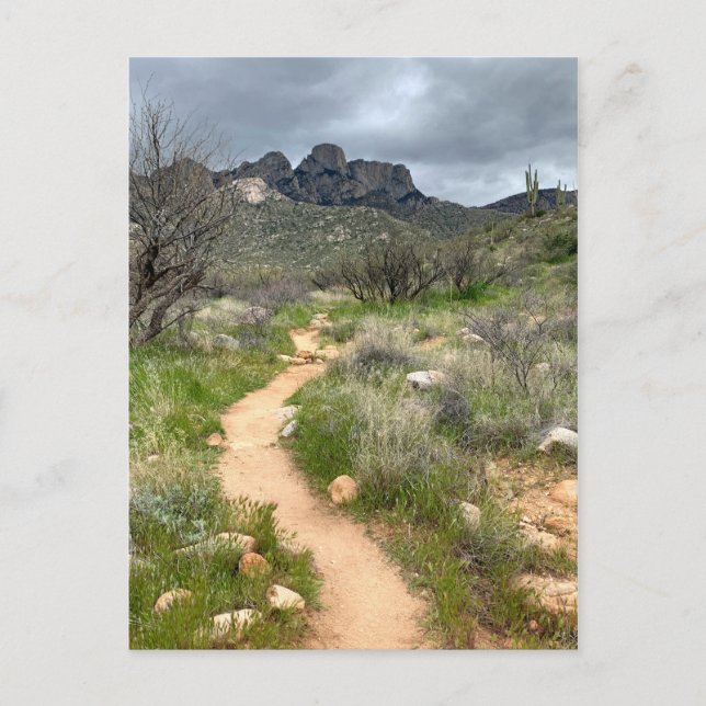 Catalina Mountains Trail Vykort (Framsida)