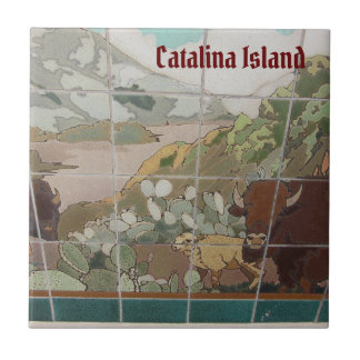 CATALINA ÖN KERAMISKA PLATTOR CATALINA BUFFALO KAKELPLATTA