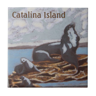 CATALINA ÖN KERAMISKA PLATTOR CATALINA FAMILY KAKELPLATTA