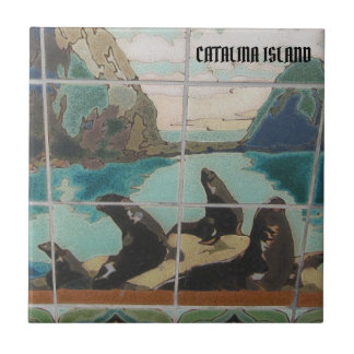 CATALINA ÖN KERAMISKA PLATTOR ÖBORNA KAKELPLATTA