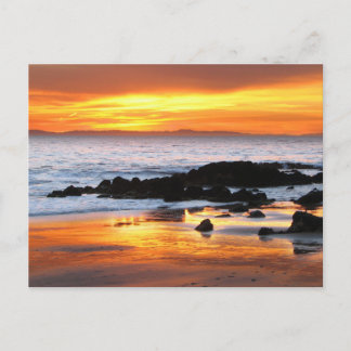 Catalina Sunset Vykort