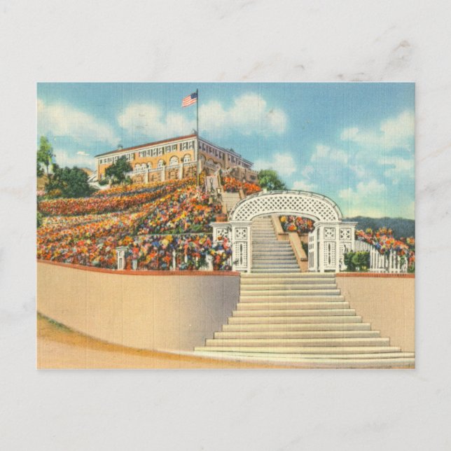 Catalina Vykort (Framsida)