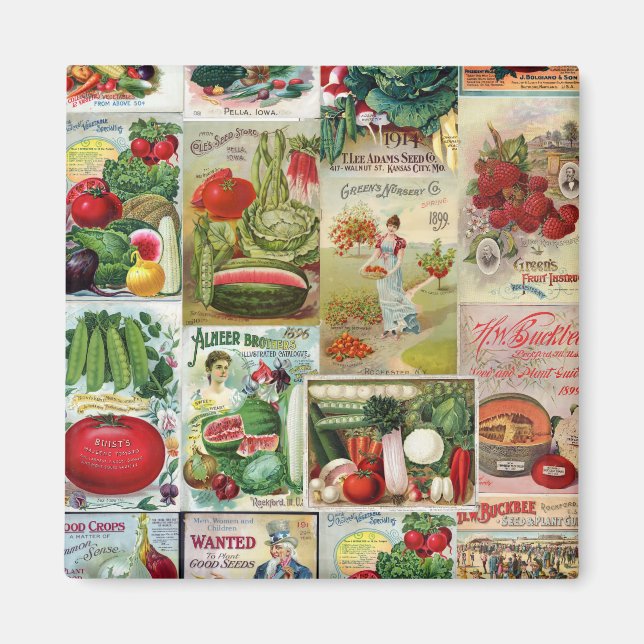 Catalog Collage for Fruit and Veggies Magnet (Framsidan)