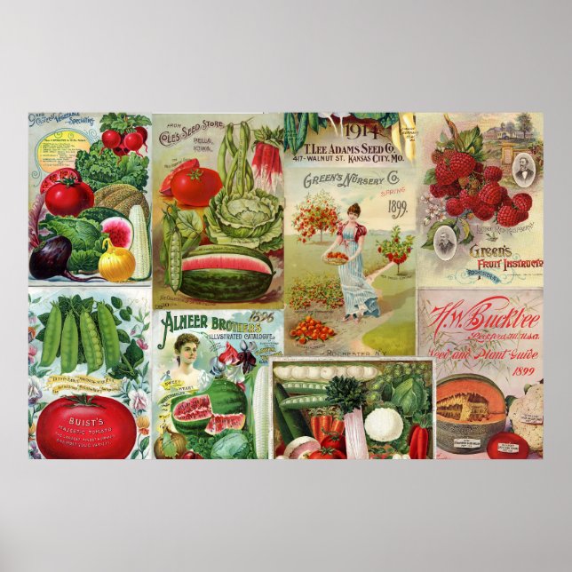 Catalog Collage for Fruit and Veggies Poster (Framsidan)