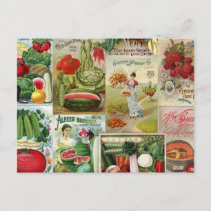 Catalog Collage for Fruit and Veggies Seed Vykort
