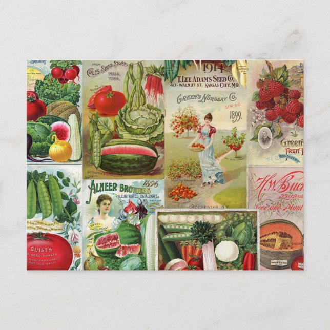 Catalog Collage for Fruit and Veggies Vykort (Framsida)