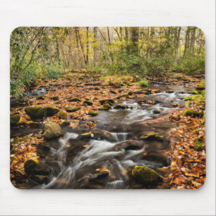 Cataloochee Creek NC Great Smoky Mountains Musmatta